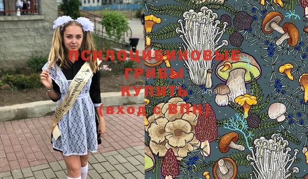 МДМА Богородицк