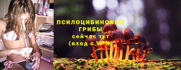 МДМА Богородицк